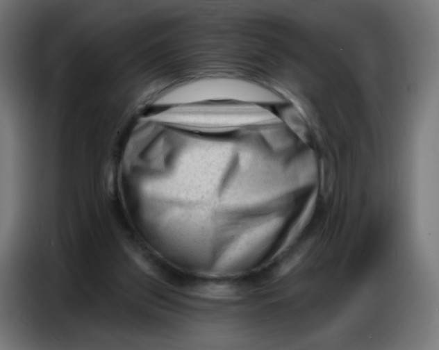 X0000086800157200705041615