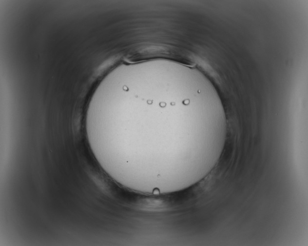 X0000086800159200705041615