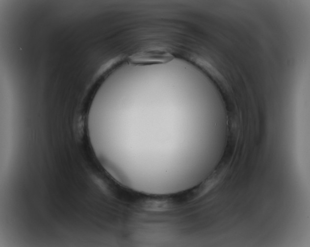 X0000086800160200705041615