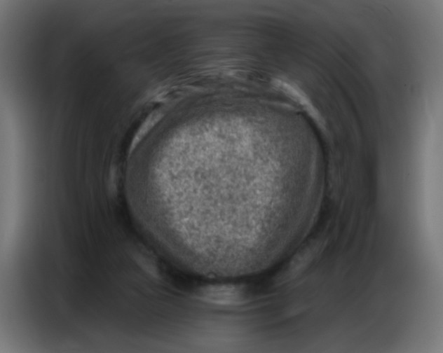 X0000086800161200705041615