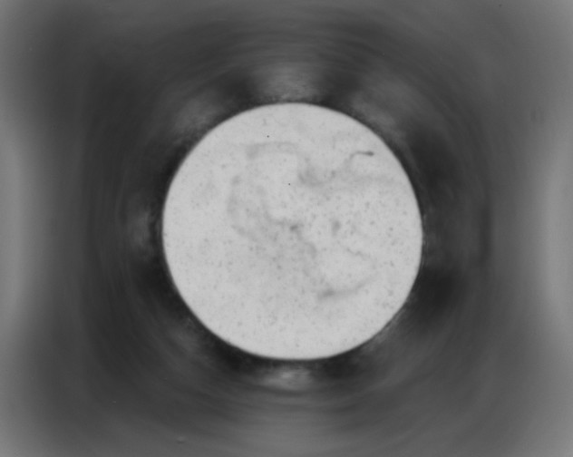 X0000086800162200705041615