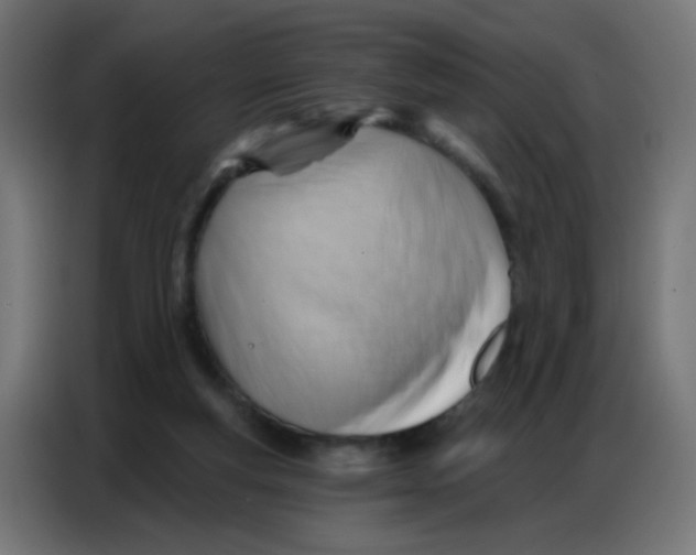 X0000086800163200705041615