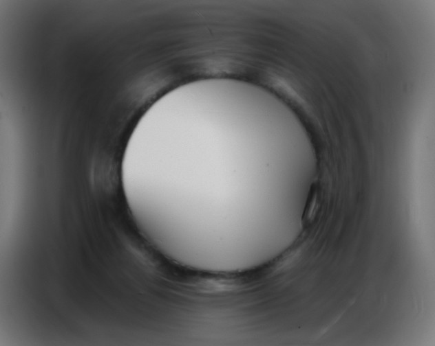 X0000086800164200705041615