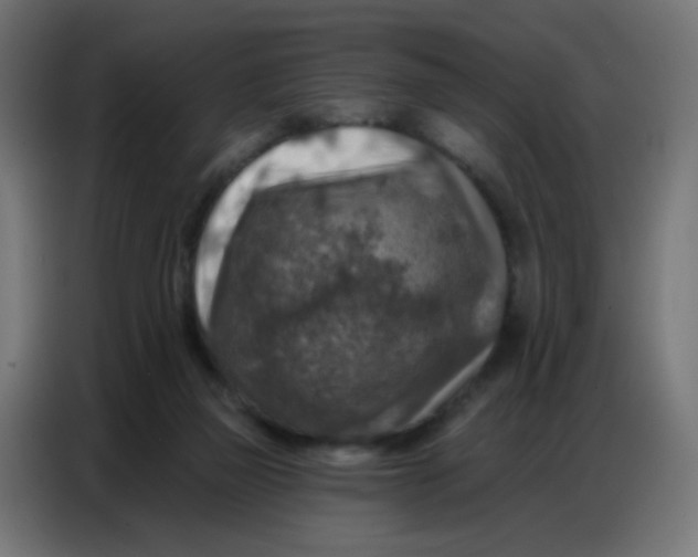 X0000086800165200705041615