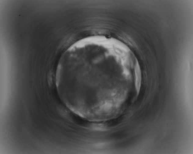 X0000086800169200705041615