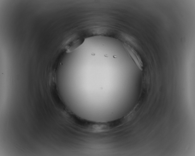 X0000086800172200705041615