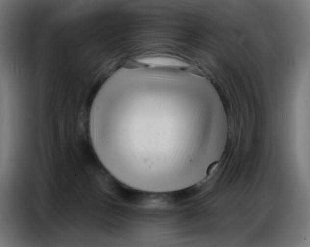 X0000086800175200705041615