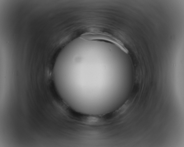 X0000086800176200705041615