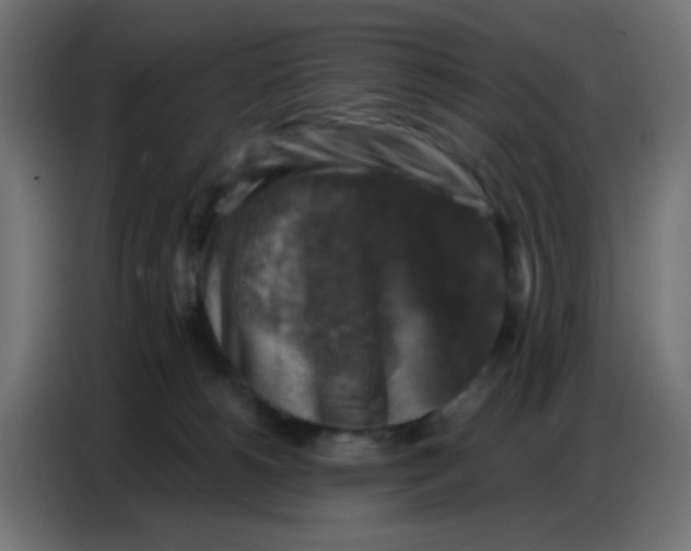 X0000086800180200705041615