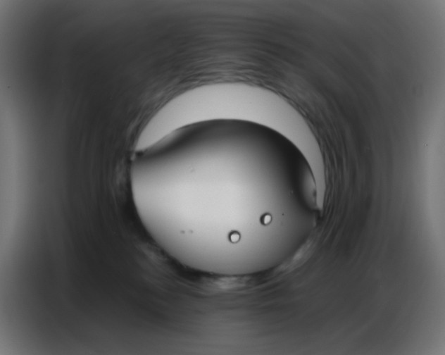 X0000086800184200705041615