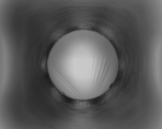 X0000086800185200705041615