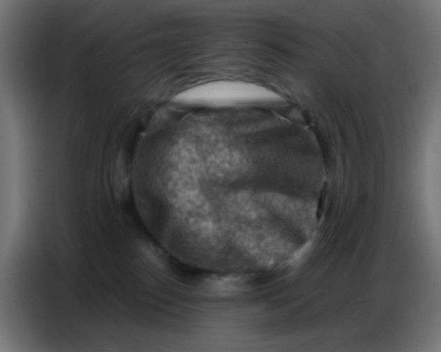 X0000086800186200705041615