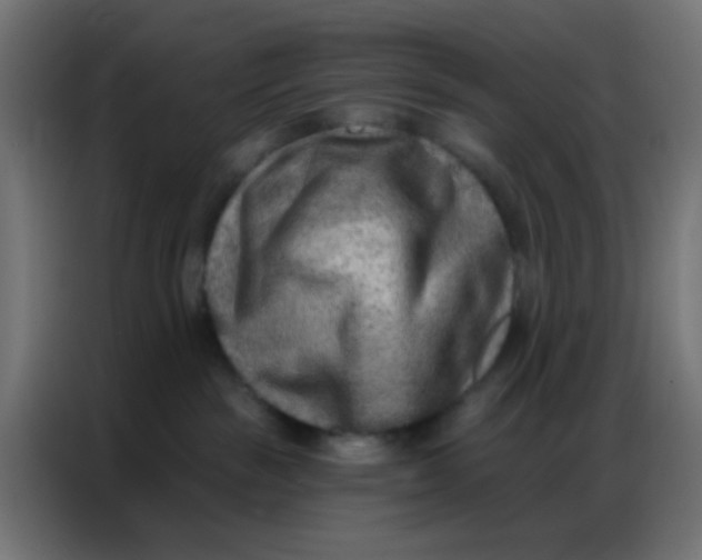 X0000086800189200705041615