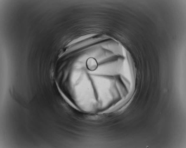 X0000086800190200705041615