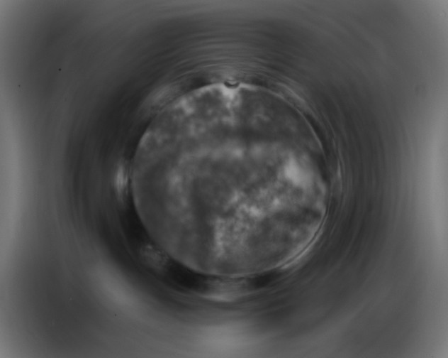 X0000086800191200705041615