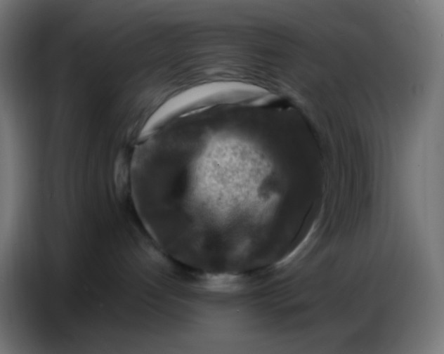 X0000086800192200705041615