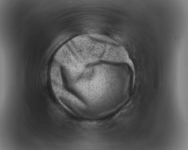 X0000086800194200705041615