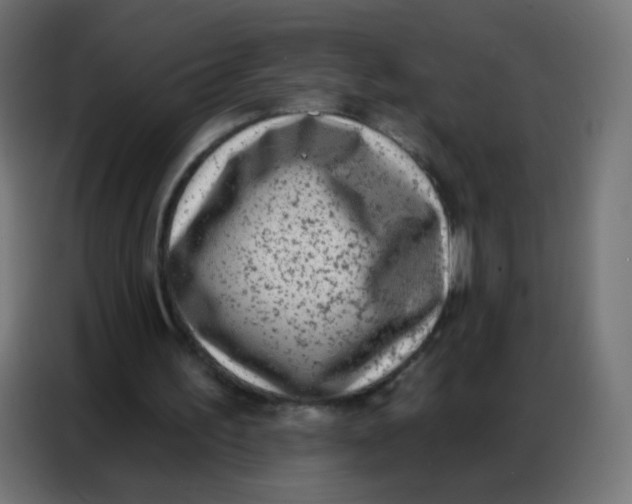 X0000086800195200705041615