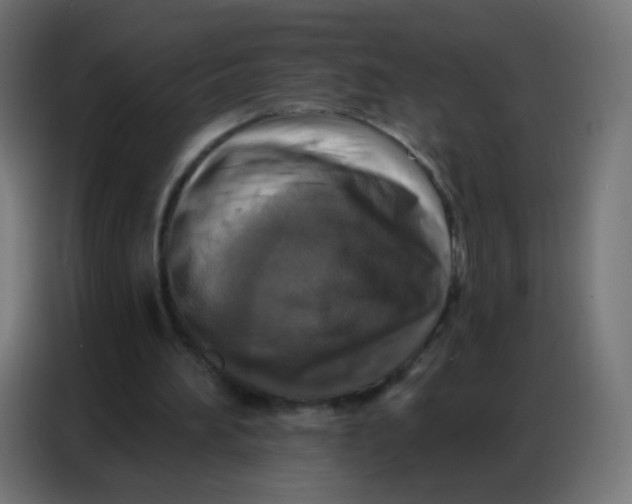 X0000086800196200705041615