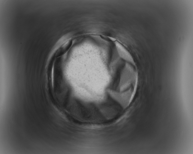 X0000086800198200705041615