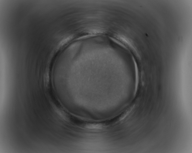 X0000086800202200705041615