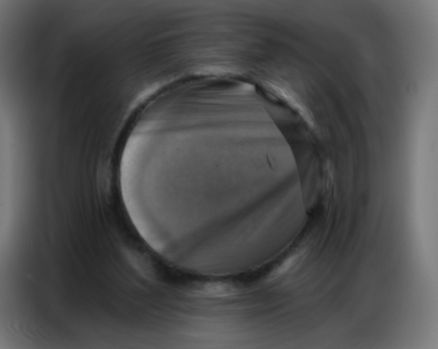 X0000086800204200705041615