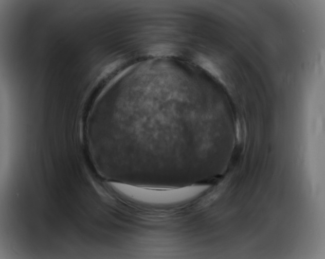 X0000086800205200705041615