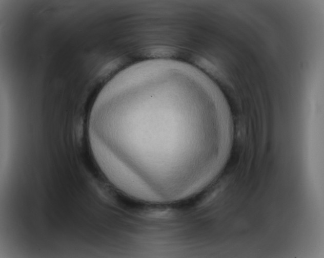 X0000086800206200705041615