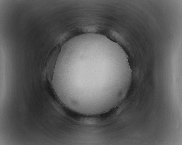 X0000086800209200705041615