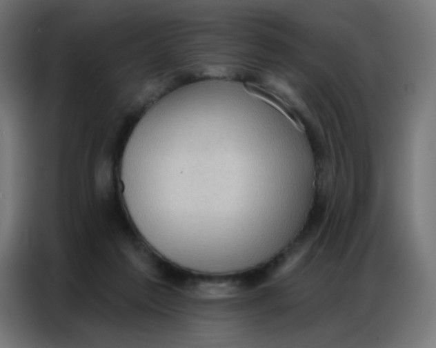 X0000086800213200705041615