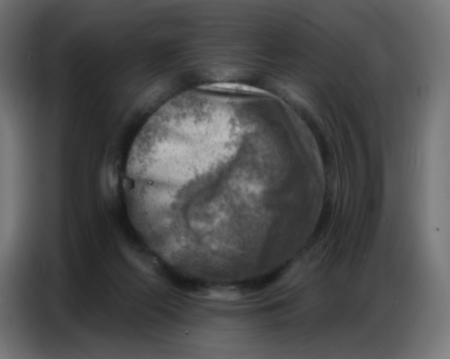 X0000086800214200705041615