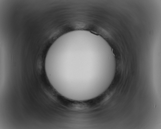 X0000086800215200705041615