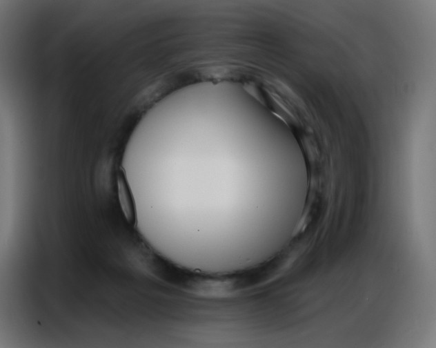 X0000086800217200705041615