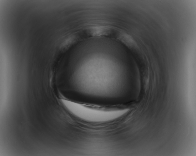 X0000086800219200705041615