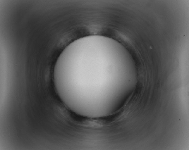 X0000086800221200705041614