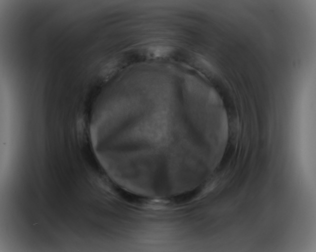 X0000086800222200705041614