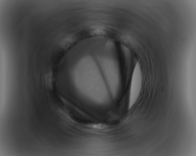 X0000086800223200705041614