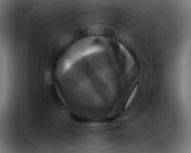 X0000086800224200705041614