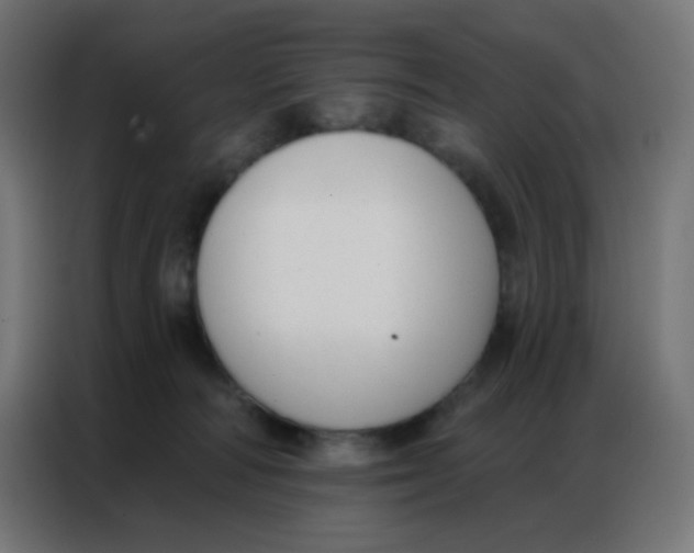 X0000086800226200705041614