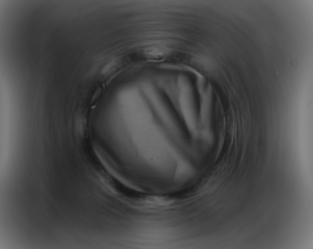 X0000086800227200705041614