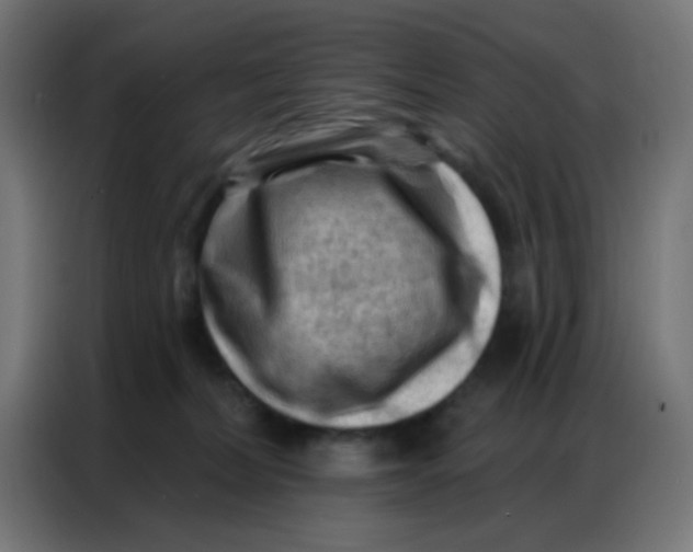 X0000086800228200705041614