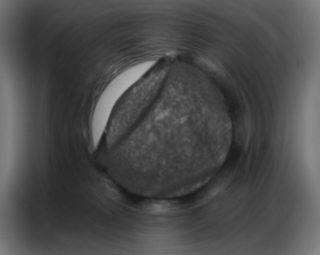 X0000086800229200705041614