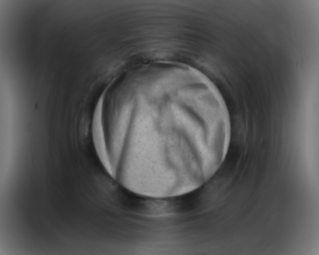 X0000086800230200705041614