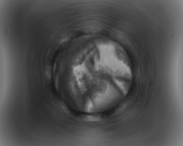 X0000086800232200705041614