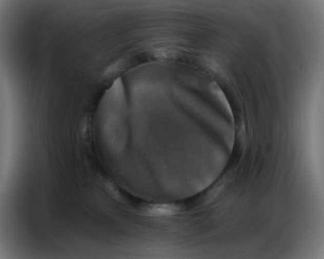 X0000086800233200705041614