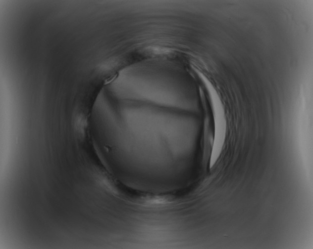 X0000086800235200705041614