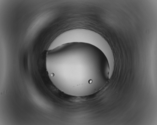 X0000086800239200705041614