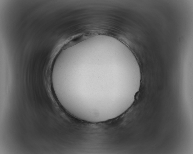 X0000086800241200705041614