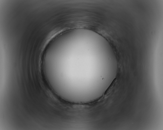 X0000086800242200705041614