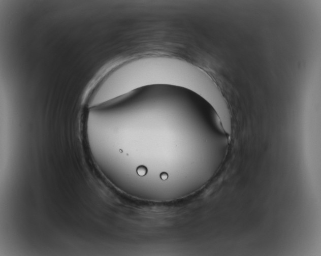 X0000086800244200705041614